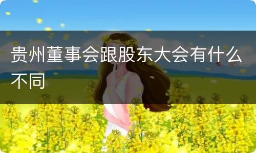 贵州董事会跟股东大会有什么不同