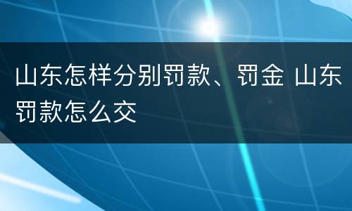 山东怎样分别罚款、罚金 山东罚款怎么交