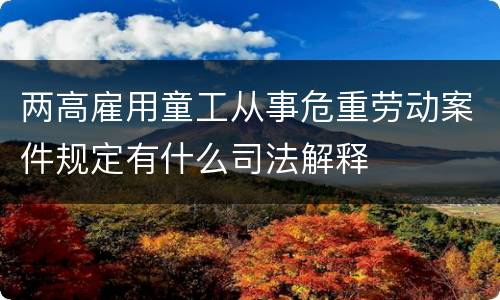 两高雇用童工从事危重劳动案件规定有什么司法解释