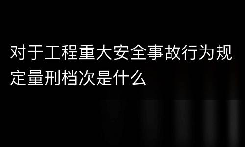 对于工程重大安全事故行为规定量刑档次是什么 对于工程重大安全事故行为规定量刑档次是什么
