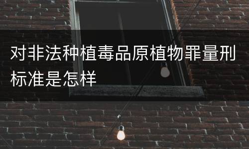 对非法种植毒品原植物罪量刑标准是怎样