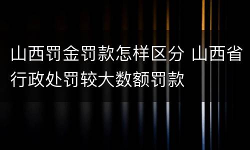 山西罚金罚款怎样区分 山西省行政处罚较大数额罚款