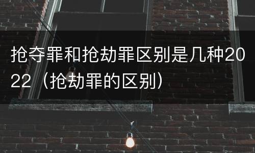抢夺罪和抢劫罪区别是几种2022（抢劫罪的区别）