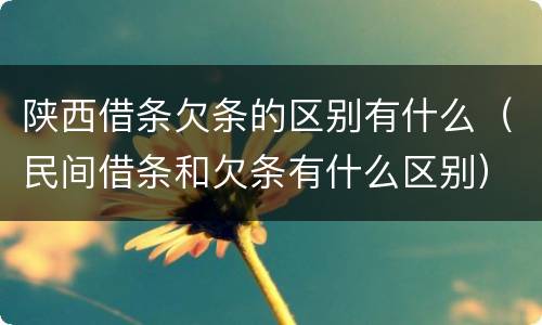 陕西借条欠条的区别有什么（民间借条和欠条有什么区别）
