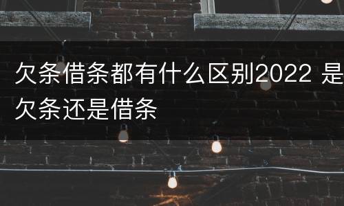 欠条借条都有什么区别2022 是欠条还是借条