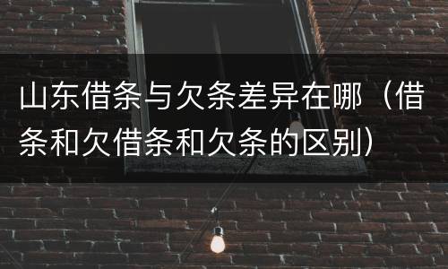 山东借条与欠条差异在哪（借条和欠借条和欠条的区别）