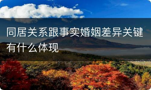 同居关系跟事实婚姻差异关键有什么体现