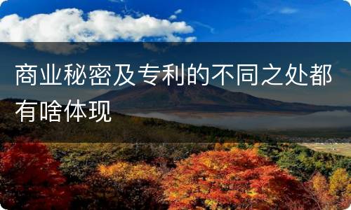 商业秘密及专利的不同之处都有啥体现