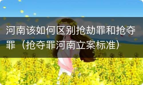 河南该如何区别抢劫罪和抢夺罪（抢夺罪河南立案标准）