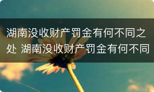 湖南没收财产罚金有何不同之处 湖南没收财产罚金有何不同之处呢