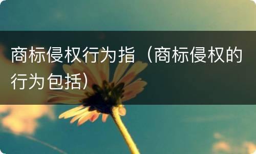 商标侵权行为指（商标侵权的行为包括）