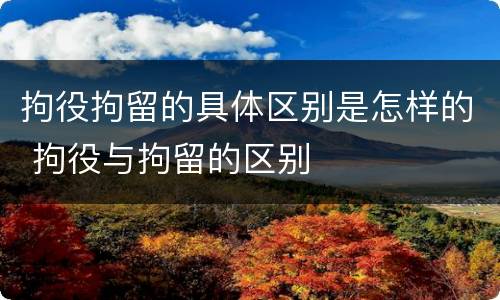 拘役拘留的具体区别是怎样的 拘役与拘留的区别