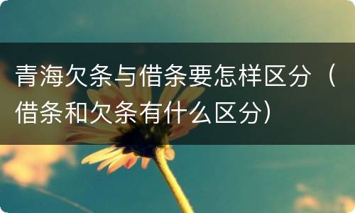 青海欠条与借条要怎样区分（借条和欠条有什么区分）