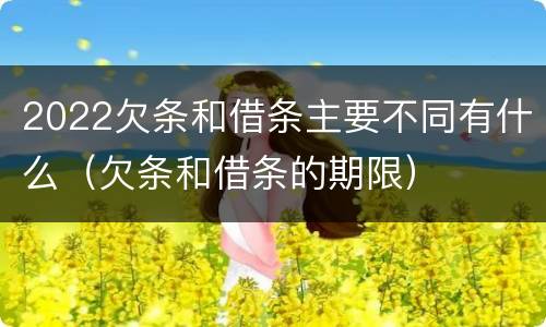 2022欠条和借条主要不同有什么（欠条和借条的期限）
