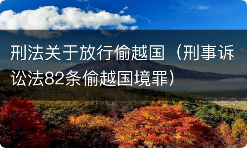 刑法关于放行偷越国（刑事诉讼法82条偷越国境罪）