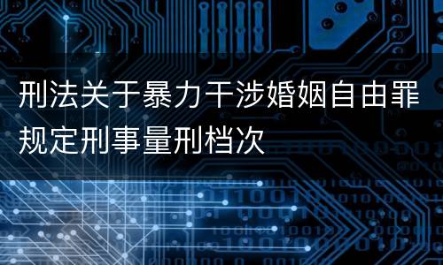 刑法关于暴力干涉婚姻自由罪规定刑事量刑档次