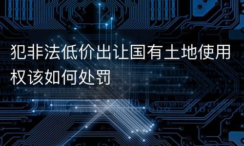 犯非法低价出让国有土地使用权该如何处罚