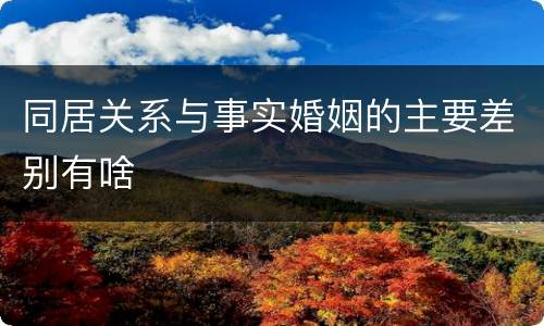 同居关系与事实婚姻的主要差别有啥