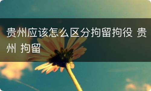 贵州应该怎么区分拘留拘役 贵州 拘留