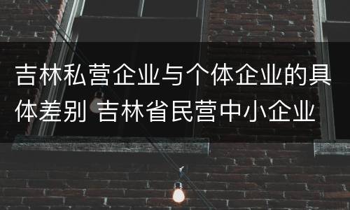 吉林私营企业与个体企业的具体差别 吉林省民营中小企业