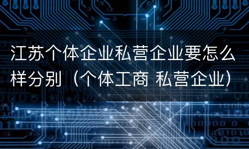 江苏个体企业私营企业要怎么样分别（个体工商 私营企业）