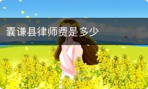 囊谦县律师费是多少