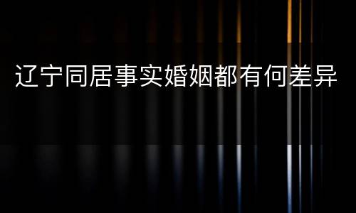 辽宁同居事实婚姻都有何差异