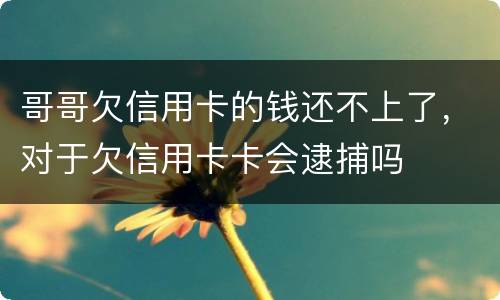 哥哥欠信用卡的钱还不上了，对于欠信用卡卡会逮捕吗