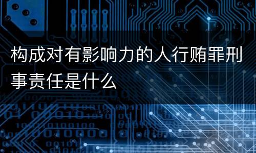 构成对有影响力的人行贿罪刑事责任是什么