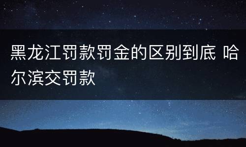 黑龙江罚款罚金的区别到底 哈尔滨交罚款