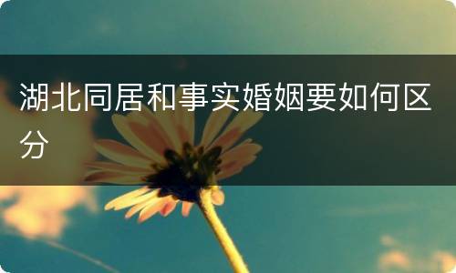 湖北同居和事实婚姻要如何区分