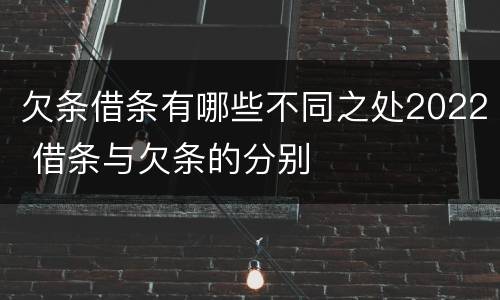 欠条借条有哪些不同之处2022 借条与欠条的分别