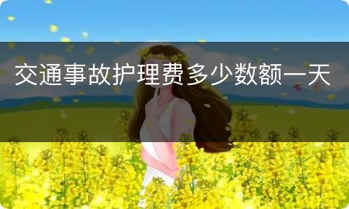交通事故护理费多少数额一天