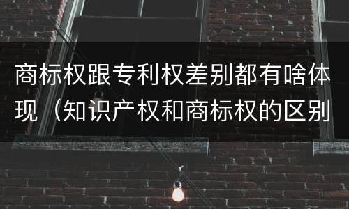商标权跟专利权差别都有啥体现（知识产权和商标权的区别）