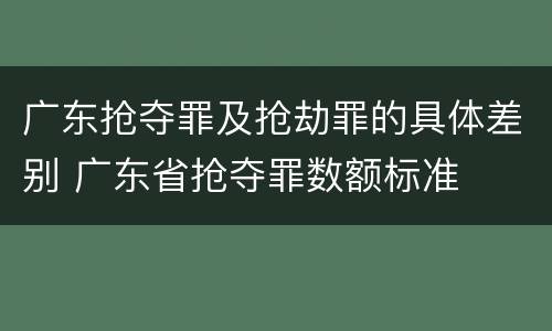 广东抢夺罪及抢劫罪的具体差别 广东省抢夺罪数额标准