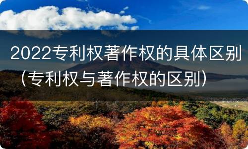 2022专利权著作权的具体区别（专利权与著作权的区别）