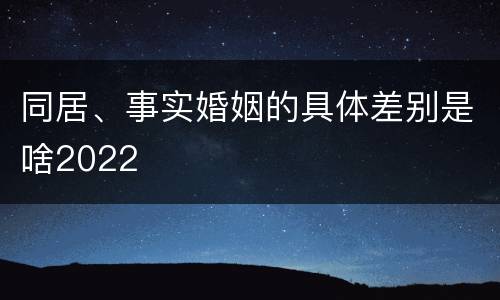 同居、事实婚姻的具体差别是啥2022