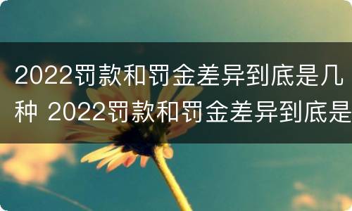 2022罚款和罚金差异到底是几种 2022罚款和罚金差异到底是几种情形