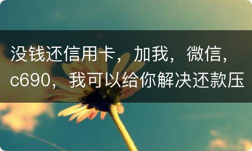 没钱还信用卡，加我，微信，c690，我可以给你解决还款压力。养好你自己的征信