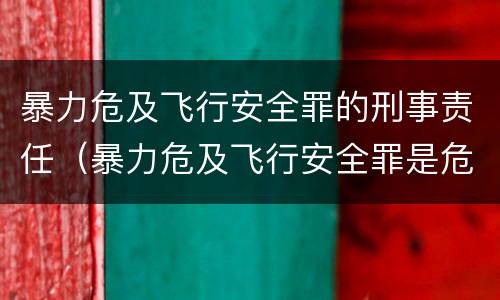 暴力危及飞行安全罪的刑事责任（暴力危及飞行安全罪是危险犯吗）