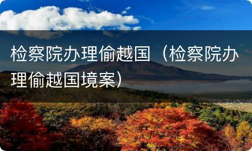 检察院办理偷越国（检察院办理偷越国境案）