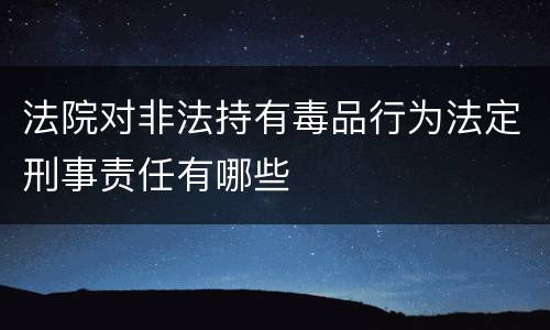 法院对非法持有毒品行为法定刑事责任有哪些
