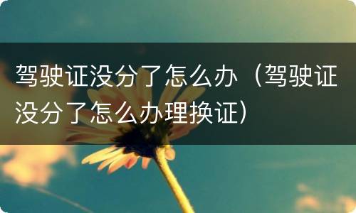 驾驶证没分了怎么办（驾驶证没分了怎么办理换证）