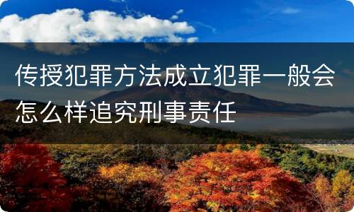 传授犯罪方法成立犯罪一般会怎么样追究刑事责任