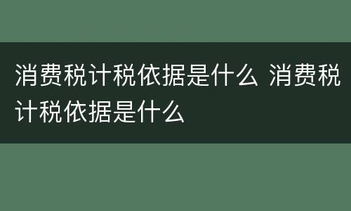 消费税计税依据是什么 消费税计税依据是什么