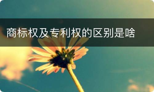 商标权及专利权的区别是啥