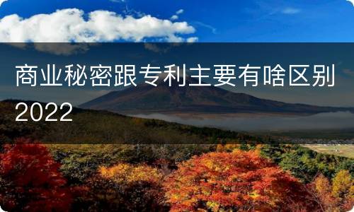 商业秘密跟专利主要有啥区别2022