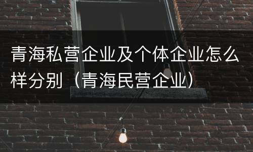 青海私营企业及个体企业怎么样分别（青海民营企业）