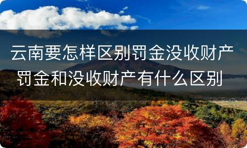 云南要怎样区别罚金没收财产 罚金和没收财产有什么区别