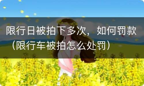 限行日被拍下多次，如何罚款（限行车被拍怎么处罚）